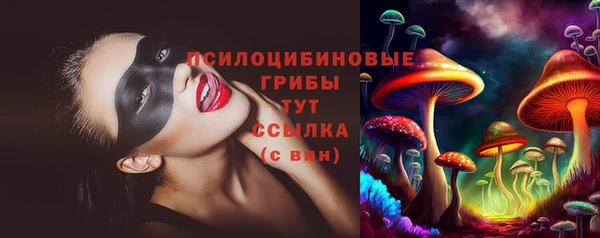 spice Алзамай