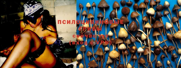 спиды Алексин